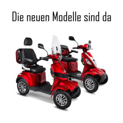 Rolektro E-Quad Premium
